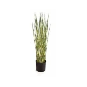 Bamboo grass - Se adapta a todas las estancias