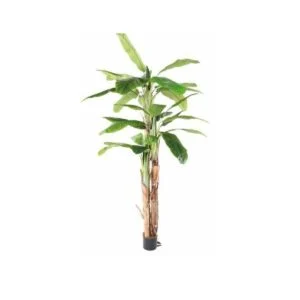 Bananero artificial - Una planta ideal para decorar en cualquier temporada