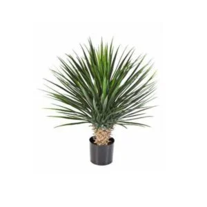 Yucca rostrata artificial - Aires del trópico en tu casa