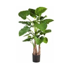 Alocasia artificial - una planta muy especial para su casa