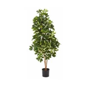 Scheflera artificial - La delicadeza hecha planta