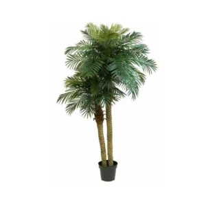 Palmera Phoenix artificial - Vive un verano permanente - 210 cm