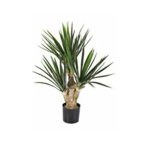 Yucca baby - Elección ganadora para tus diseños - 68 cm
