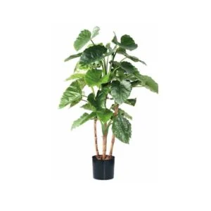 Alocasia artificial - Tonalidades y un estilo fresco