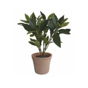 Laurel old pot artificial - Viste el espacio de frescura