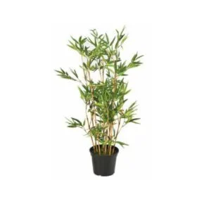 Bamboo - Traslada los aires de tu jardín dentro de casa