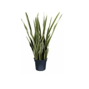 Sanseveria artificial - Perfecta para una deco trendy