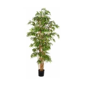 Bamboo artificial - Una planta para la innovación y el diseño