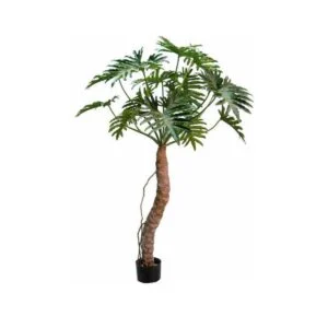 Phylodendro artificial - Espectacular y elegante - 210cm