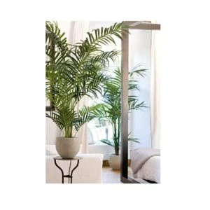 Areca- Una planta artificial ideal para redecorar