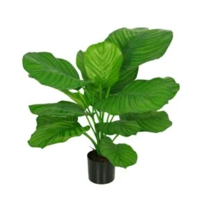 Calathea artificial - Espectacular planta elegante y realista