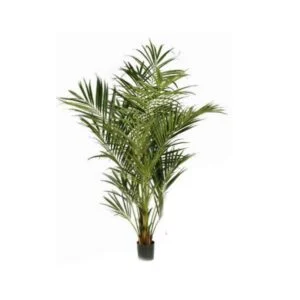 Kentia Luxus artificial - Ambienta tu espacios de forma espectacular