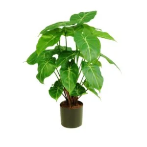Syngonium artificial - Otorga un toque tropical con esta planta