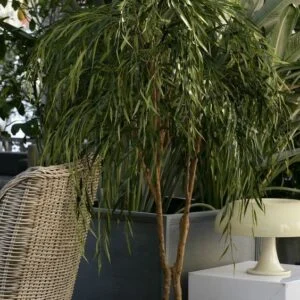 Willow Tree artificial – Una planta que resalta la personalidad del espacio