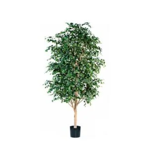 Abedul artificial 3m – Una planta de largo tallo y hojas traviesas