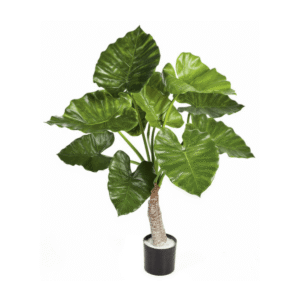 Alocasia artificial - Toda una tendencia decorativa