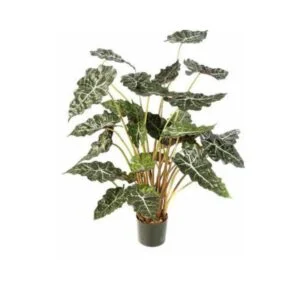 Alocasia artificial - Evoca un espacio natural en casa