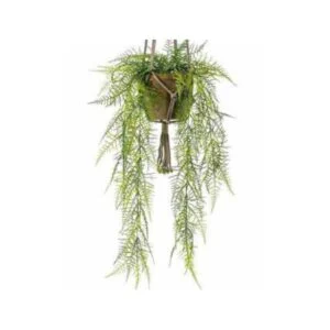 Asparagus colgante artificial - Aporta originalidad con esta esparraguera