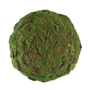 Bola de musgo artificial – Recrea un ecosistema natural