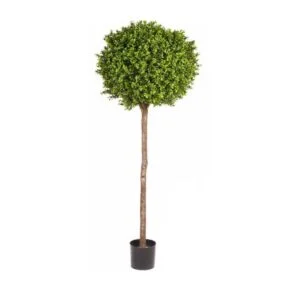 Boxwood tree artificial - Ideal para decorar tu porche o terraza