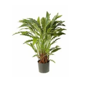 Calathea artificial - Llena de vida y verdor tus estancias