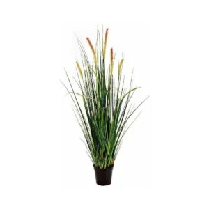 Foxtail grass - Un toque íntimo en tu decoración