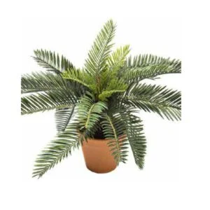 Cycas palm - Planta artificial de calidad