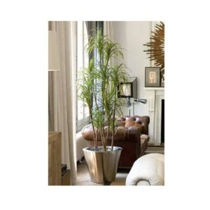 Dracaena marginata artificial - Crea un ambiente de ensueño