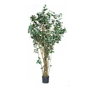 Ficus artificial – Sus troncos te cautivarán - 160cm