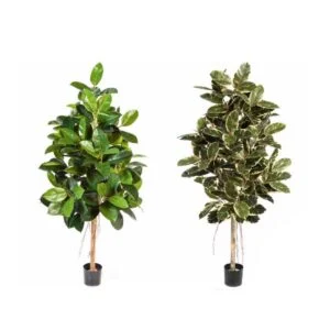 Ficus Elástica artificial - Hojas con personalidad