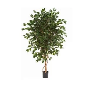 Ficus exótica artificial – Troncos trenzados que cautivan