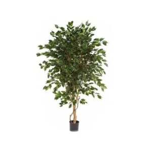 Ficus Exótica artificial – Elemento clave para decorar tu hogar