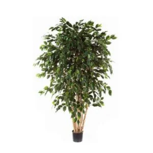 Ficus Exótica artificial – Una de los más versátiles -180 cm