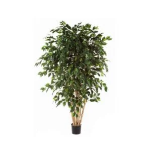 Ficus Exótica artificial - Planta de fino acabado -240 cm