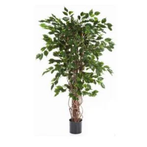 Ficus Liana artificial - Belleza hecha troco - 150/180 cm