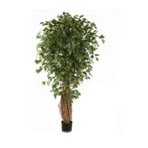 Ficus Liana artificial – La planta reina de cualquier estilo de decoración