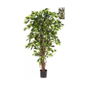 Ficus Liana artificial – Una planta de bonito acabado