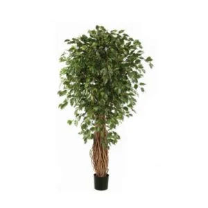 Ficus Liana artificial – Una perfecta versión de la natural