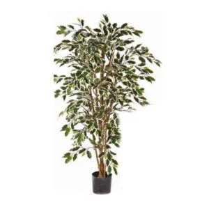 Ficus Nítida artificial – Se mantiene bella todo el año
