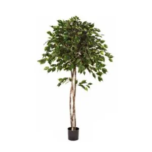 Ficus Umbrella artificial -Planta de belleza sinigual