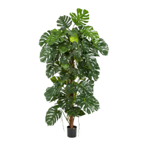 Split Filo - Decora tus interiores con elegancia