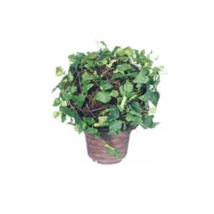 Ivy ball artificial – Distinción en 30 cm