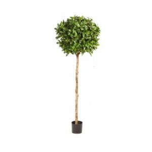 Laurel árbol artificial – Elegancia, porte y ¡suerte!
