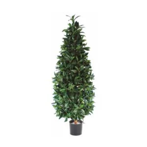 Laurel pirámide artificial – Planta decorativa por excelencia
