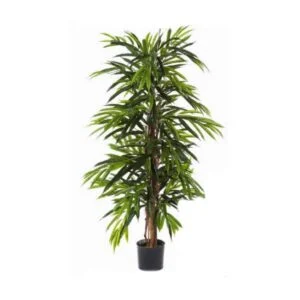 Longifolia Luxe artificial – Para decorar en grande