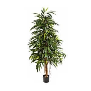 Longifolia Royal artificial – Delicada y majestuosa- 180 cm