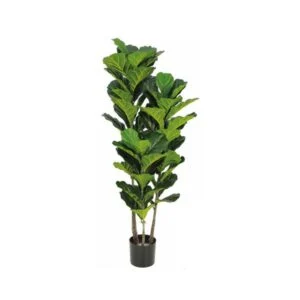 Ficus Lyrata artificial – De exuberante follaje