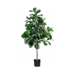 Lyrata Hoja Grande artificial – Muy buscada para decorar el hogar