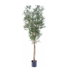 Olivo Tree artificial – Esta planta representa la fertilidad y la vida