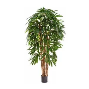 Raphis Palm artificial – Palma de estilo Japandi